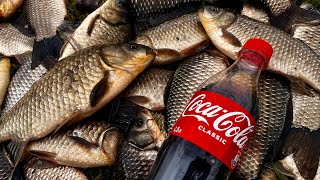 Добавил CocaCola в ПРИКОРМКУ И НАЛОВИЛ КУЧУ КАРАСЯ! Рыбалка на удочку. Весенний карась на поплавок.