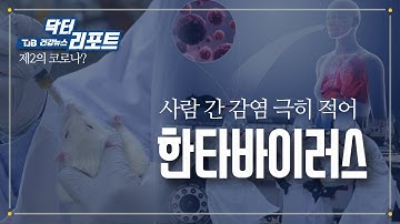 [TJB뉴스]한타바이러스, 사람 간 감염 극히 적어