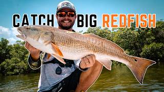 How I Catch Redfish in Tampa Bay with FREE Bait!