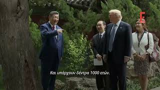 Τραμπ και Σι κάνουν βόλτα στους «μυστικούς κήπους» του Πεκίνου – Σπάνιες εικόνες από το Ζονγκνανχάι