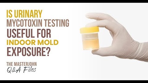 Is urinary mycotoxin testing useful for indoor mold exposure?