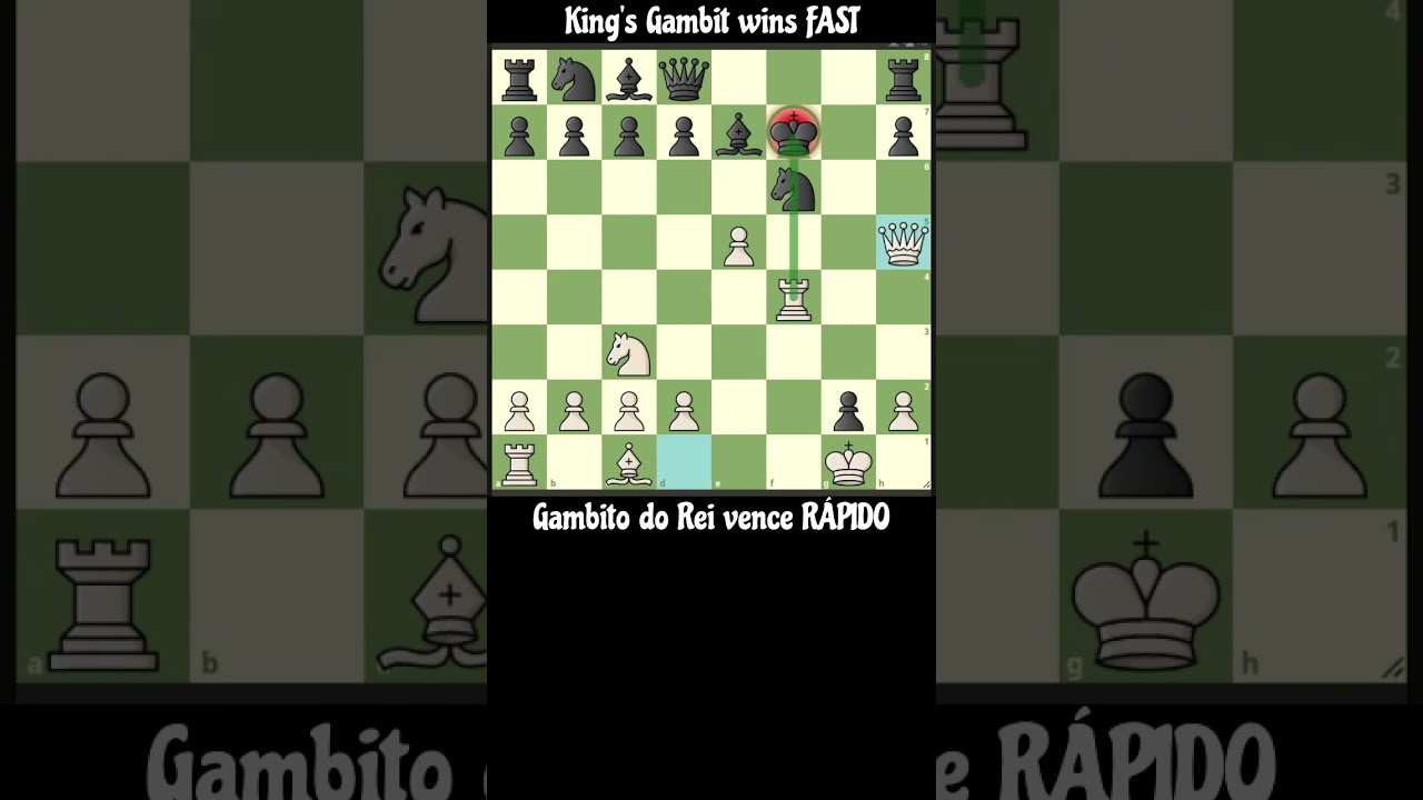 O Gambito do Rei é para quem quer vencer. The King's Gambit is for