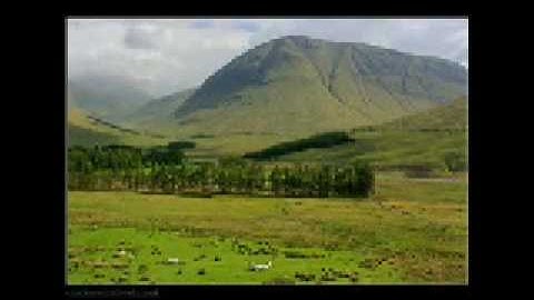 Thumbnail of Capercaillie - Fear A' Bhata