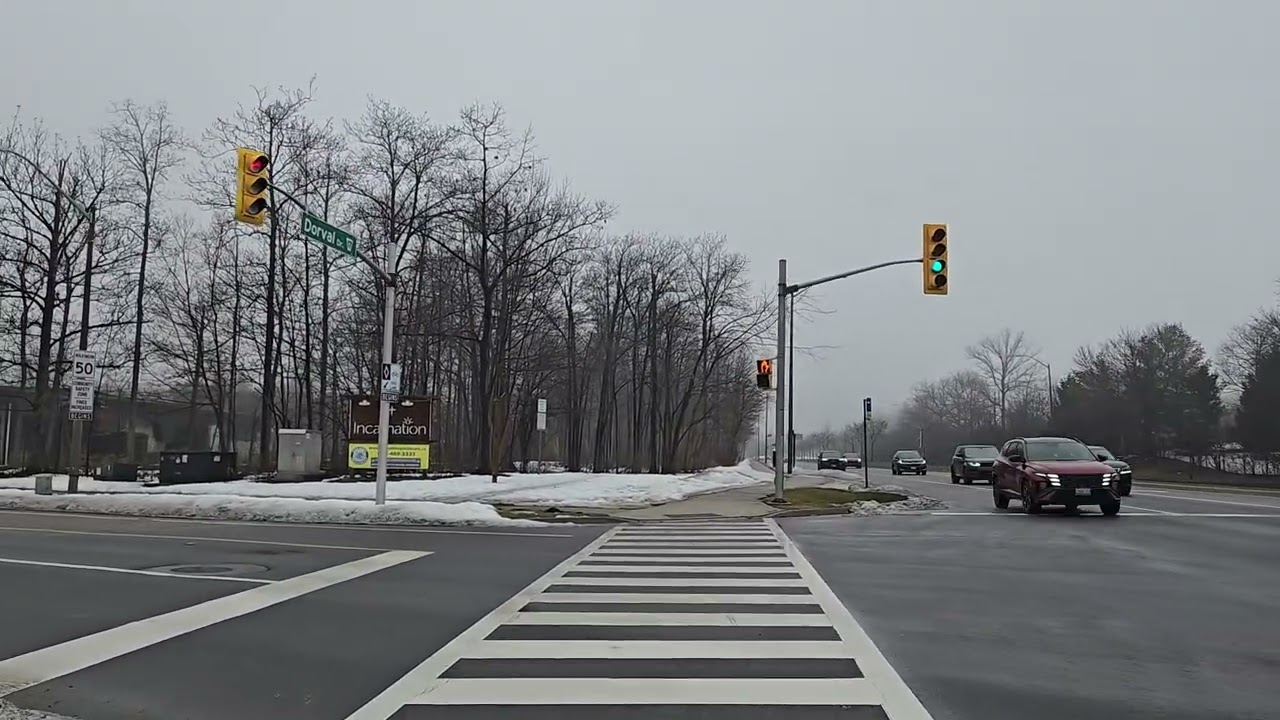 cold foggy and gloomy