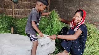 New Breastfeeding village lifestyle vlog  video 2026