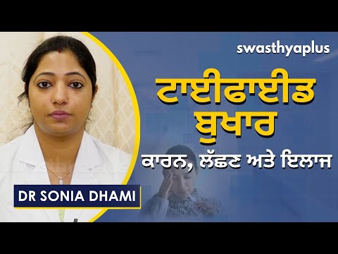 ਟਾਈਫਾਈਡ ਬੁਖਾਰ: ਕਾਰਨ, ਲੱਛਣ ਅਤੇ ਇਲਾਜ ਜਾਣੋ | Dr Sonia Dhami on Typhoid in Punjabi | Causes & Prevention