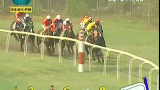 Nightfall with A Sandesh up wins The Costa Del Sol Plate Div 2 2020