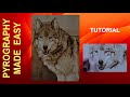 Wood burning  mexican grey wolf  pyrography tutorial