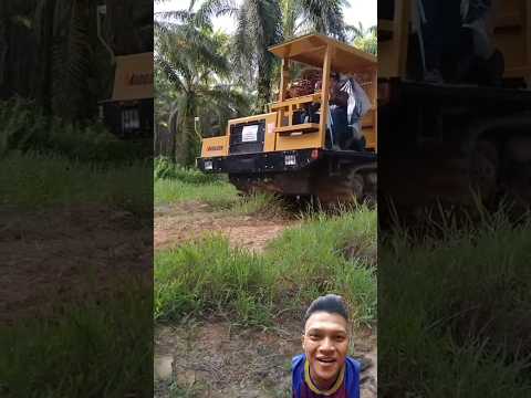 langsir sawit pakai ini dijami lancar 💯🤣🤣 #sawit #petani #viral #indonesia