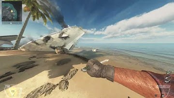 Black Ops II Plutonium - How to enable cheats on MP Private match