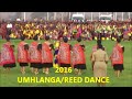 Umhlanga/Reed Dance 2016 Swaziland Vlog| Swazi in South Africa YouTuber| 05 Sept 2016