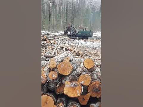 сучкорезная машина в работе - YouTube