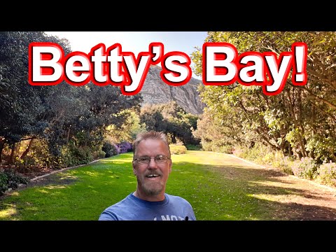 S1 – Ep 125 – Crossing the Highlands Pass to Reach Betty’s Bay!