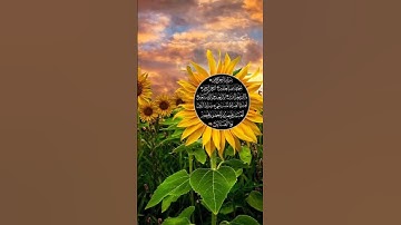 سورة الفاتحة بتلاوة خاشعة #القرآن_الكريم #المصحف_الشريف  #تلاوة_خاشعة #تلاوة_هادئة