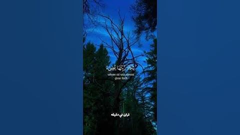 قران كريم ارح قلبك وسمعك #قران #quran #yasseraldossary #المصحف #راحة_نفسية @قران_في_دقيقة