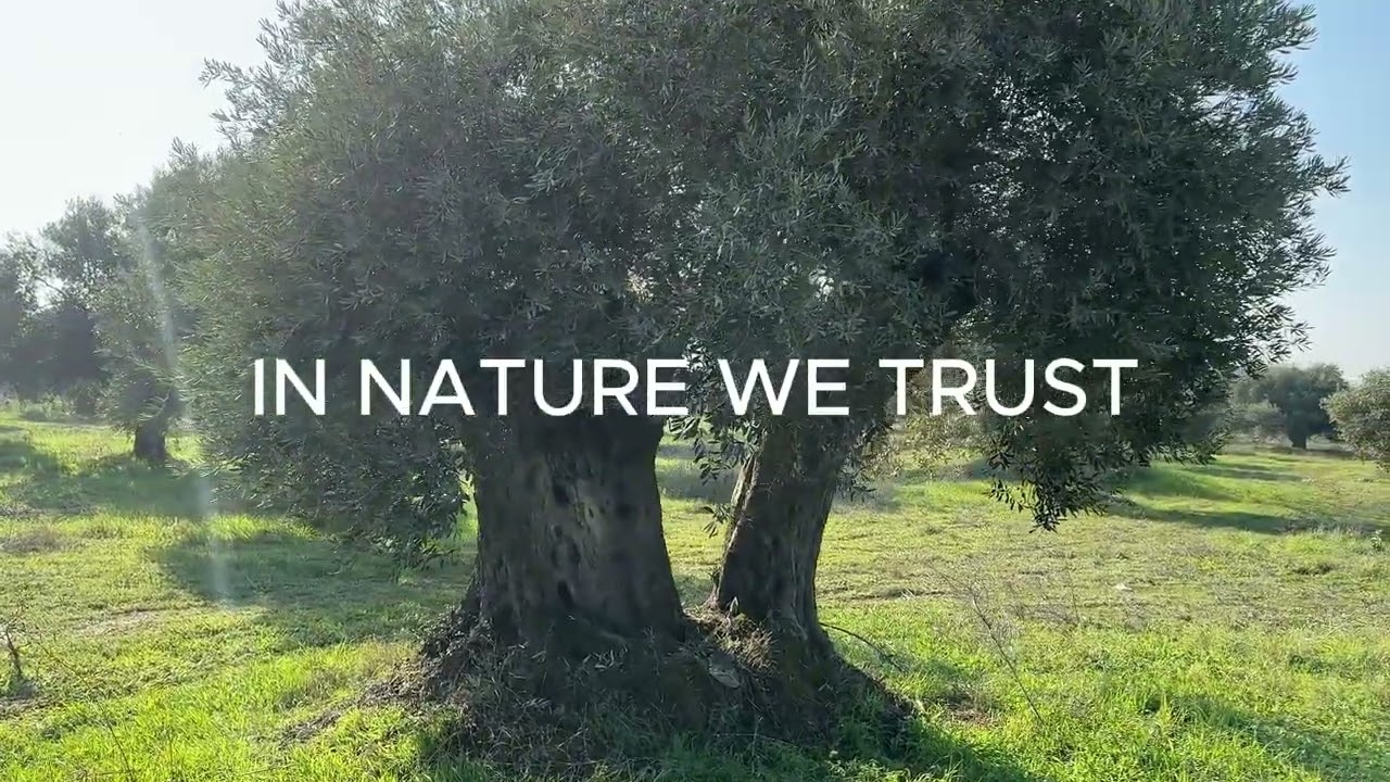 NOAH OLIVEN Olive Oil Production 2025