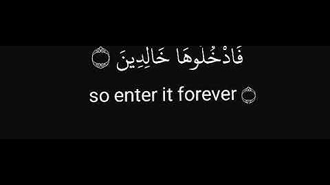 ارح قليك المتعب/ وَسيقَ الَّذينَ اتَّقَوا رَبَّهُم إِلَى الجَنَّةِ زُمَرًا/ القارئ شريف مصطفى