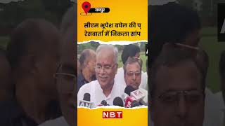 Chhattisgarh CM Bhupesh Baghel की Press Conference में निकला सांप | NBT screenshot 5