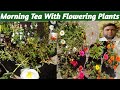 Naveed Rehman is live! Morning Tea with Flowering Plants.14/05/2024