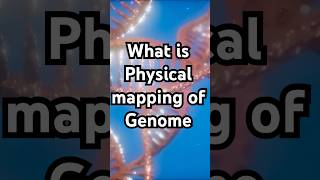 What is physical mapping of a genome ?
