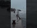 Stormy Harbour #ocean #heavyrain #rainyday