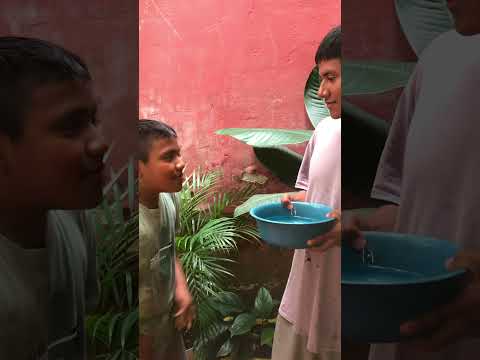 “Bañando a karol