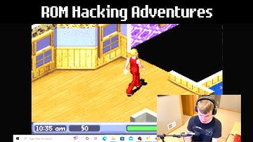 Erasing the floor in The Sims 2 Advance!