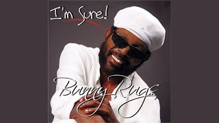 Video voorbeeld van "Bunny Rugs - I'm Sure"