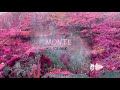 Sol Amor - MONTE