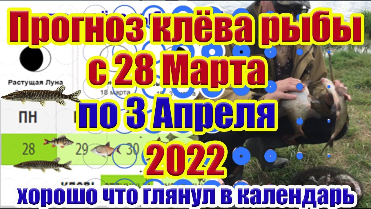 Лунный календарь на апрель 2024г рыбака. Рыболовный календарь на апрель. Лунный календарь рыболова. Календарь рыбака на март. Лунный календарь рыболова на март.