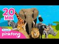 🦒Pinkfong Chansons d