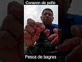 Pescando bagres con corazón de pollo