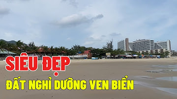 Đất Đẹp Gần Biển Long Hải Bà Rịa Vũng Tàu Đang Cần Bán Gấp