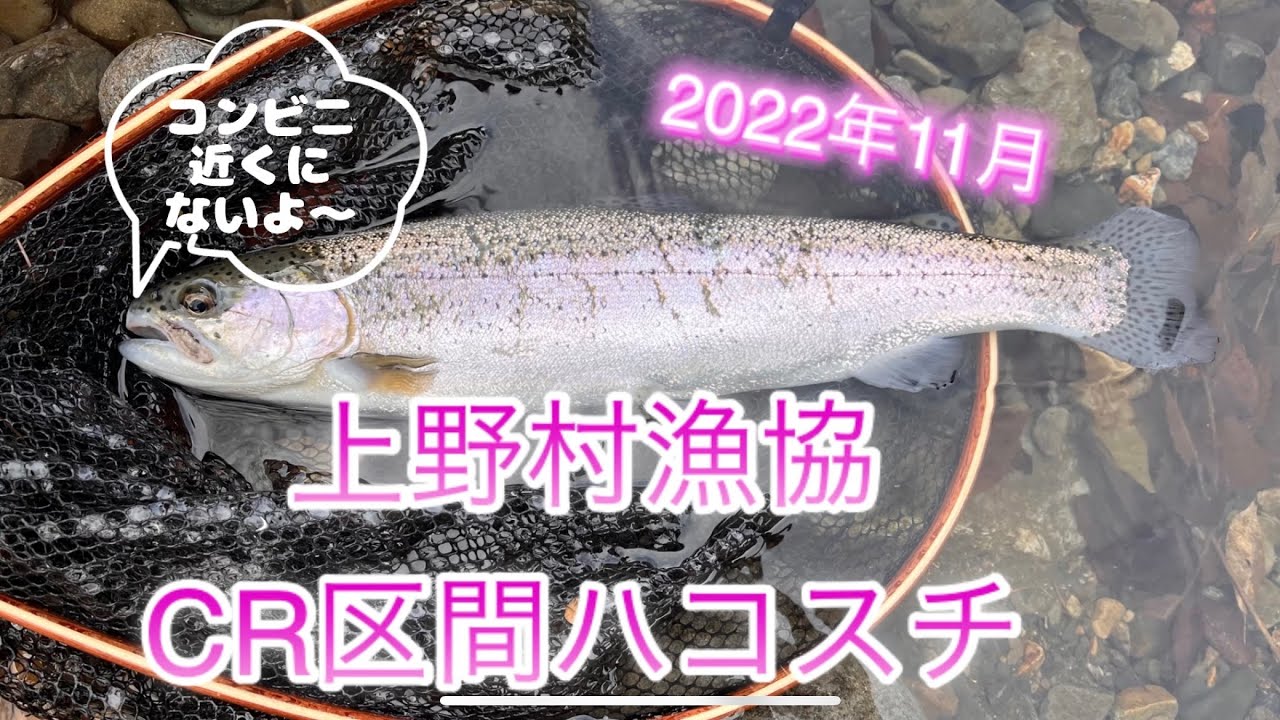 No.6【ハコスチ】神流川上野村CR区間