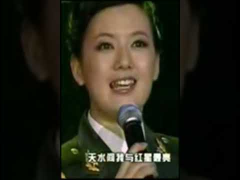 柏文《绿色背影》