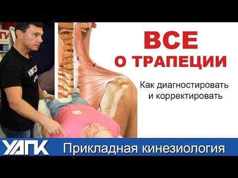 Все о трапециевидной мышце (Глеб Кирдогло)