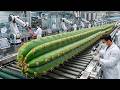 Inside a High-Tech Cactus Stem Production Mega-Factory