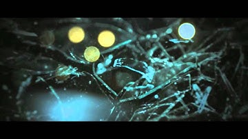 ただ君だけ　特別予告編