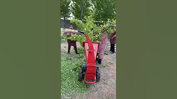 Small Useful Twig Shredder #satisfying #shortsvideo