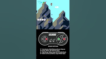 Random Test | 2Kaizo2Learn | #shorts #mario #videospel