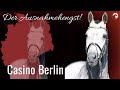 Casino Berlin 🤩  Sosath's Ausnahmehengst im Portrait ...