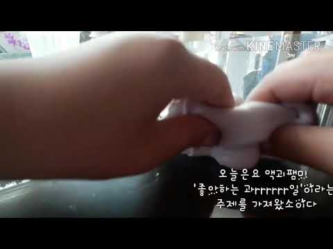 팸미