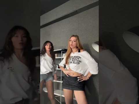 Hayır English Version Manifest Suedauluca Hilalyelekçi