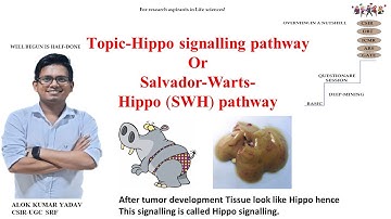 Hippo Signalling Pathway and its related question in CSIR exam