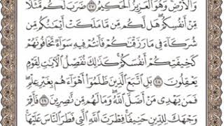 الجزء الحادى والعشرون من القرآن الكريم بصوت الشيخ ماهر المعيقلي