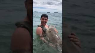 Cute Seal gives hugs while Sea Lion attacks human #animals