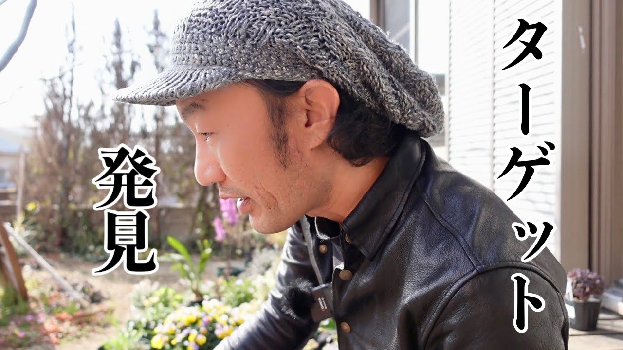 徹底的にアジュガ攻め【園芸超人カーメン君】