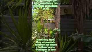 señor te amo señor te llamo porque estoy angustiado y mis familiares y olvidaron de mí