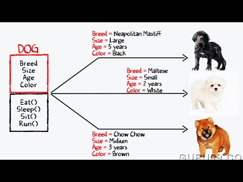 How to using Class and Object of Java || EXAMPLE - YouTube