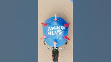 Why You Should Never Paint Your Turtle 😰